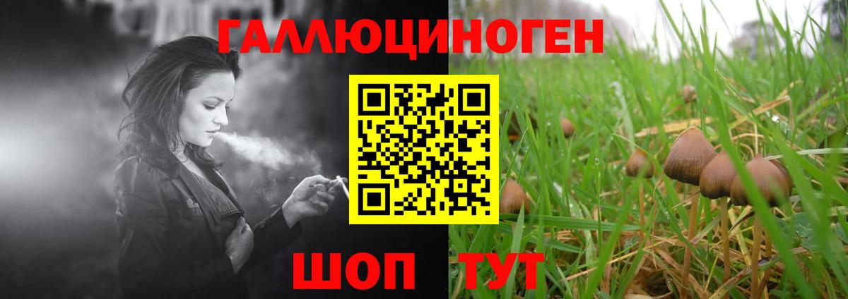 купить наркотики цена  Вход с VPN  Нижневартовск  Псилоцибиновые грибы мицелий  Псилоцибиновые грибы Psilocybine cubensis 